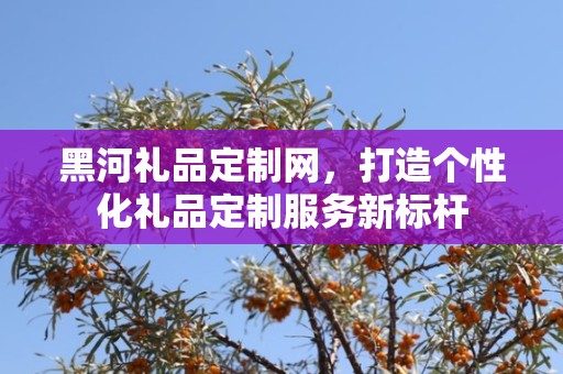 黑河礼品定制网，打造个性化礼品定制服务新标杆