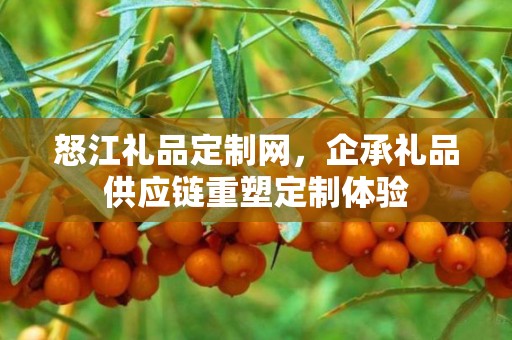 怒江礼品定制网，企承礼品供应链重塑定制体验