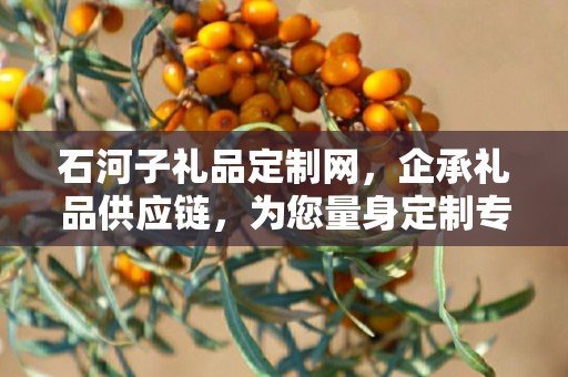 石河子礼品定制网，企承礼品供应链，为您量身定制专属礼品