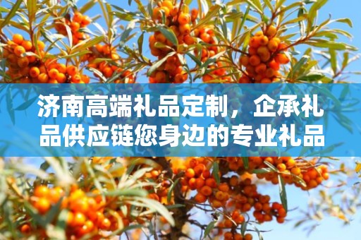 济南高端礼品定制，企承礼品供应链您身边的专业礼品定制公司