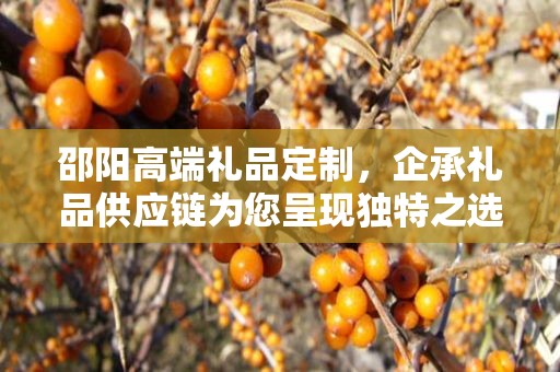 邵阳高端礼品定制，企承礼品供应链为您呈现独特之选