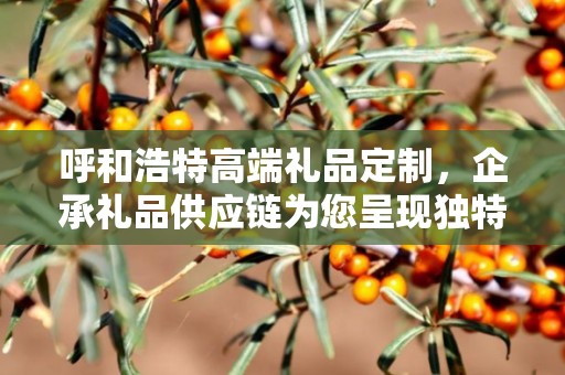 呼和浩特高端礼品定制，企承礼品供应链为您呈现独特之选