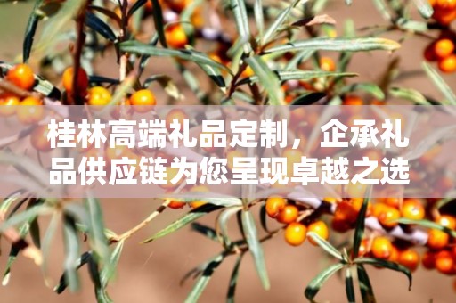 桂林高端礼品定制，企承礼品供应链为您呈现卓越之选