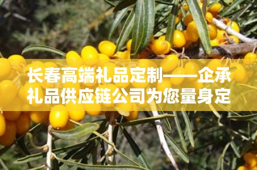 长春高端礼品定制——企承礼品供应链公司为您量身定制尊贵之选