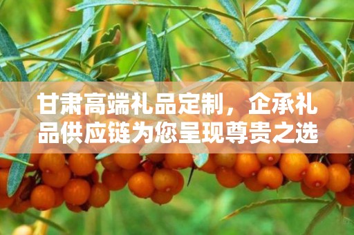 甘肃高端礼品定制，企承礼品供应链为您呈现尊贵之选