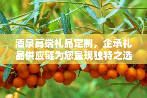 酒泉高端礼品定制，企承礼品供应链为您呈现独特之选