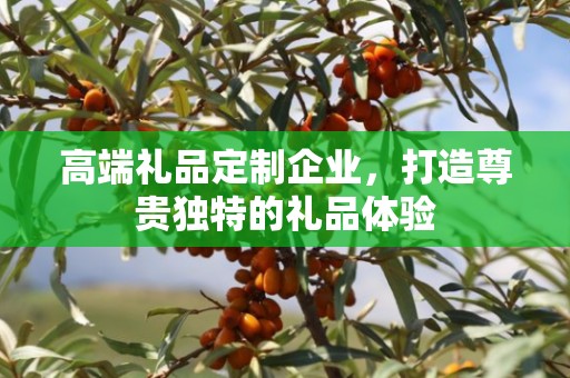 高端礼品定制企业，打造尊贵独特的礼品体验
