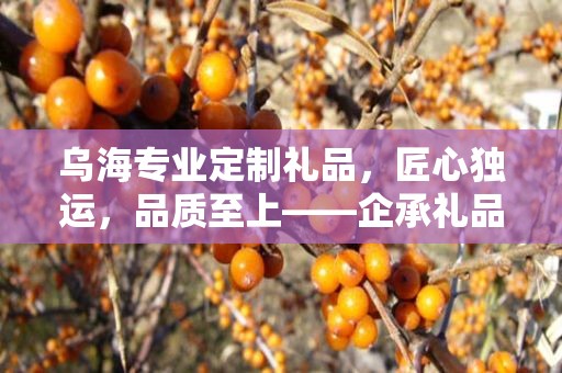 乌海专业定制礼品，匠心独运，品质至上——企承礼品供应链公司引领定制新风尚