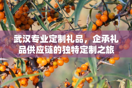 武汉专业定制礼品，企承礼品供应链的独特定制之旅