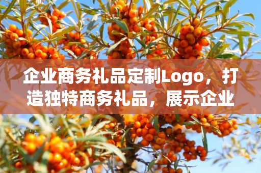 企业商务礼品定制Logo，打造独特商务礼品，展示企业形象与品牌魅力