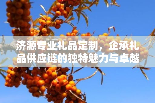 济源专业礼品定制，企承礼品供应链的独特魅力与卓越服务