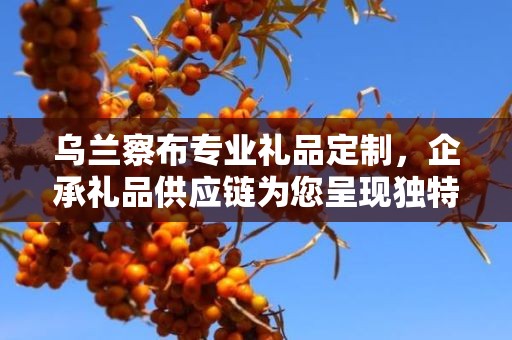 乌兰察布专业礼品定制，企承礼品供应链为您呈现独特定制体验