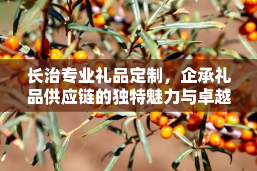 长治专业礼品定制，企承礼品供应链的独特魅力与卓越服务