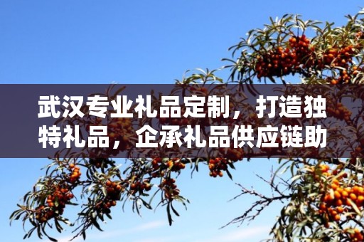 武汉专业礼品定制，打造独特礼品，企承礼品供应链助力商务往来