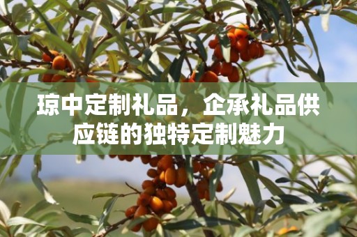 琼中定制礼品，企承礼品供应链的独特定制魅力