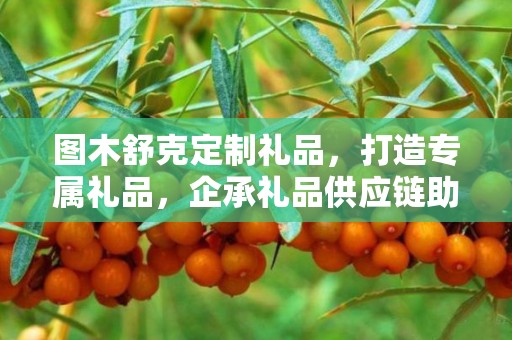 图木舒克定制礼品，打造专属礼品，企承礼品供应链助力商务发展