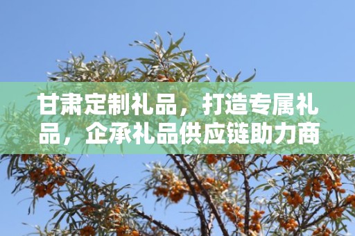 甘肃定制礼品，打造专属礼品，企承礼品供应链助力商务之选