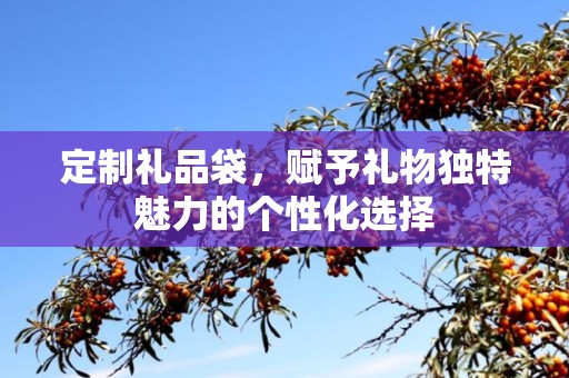 定制礼品袋，赋予礼物独特魅力的个性化选择