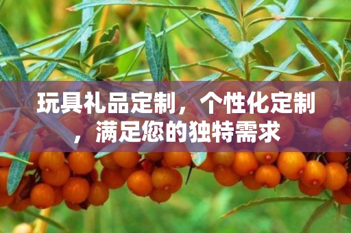玩具礼品定制，个性化定制，满足您的独特需求