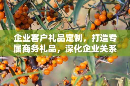 企业客户礼品定制，打造专属商务礼品，深化企业关系
