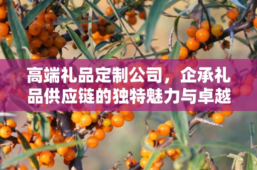 高端礼品定制公司，企承礼品供应链的独特魅力与卓越服务