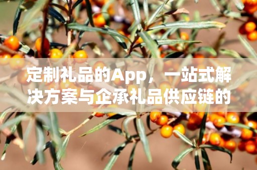 定制礼品的App，一站式解决方案与企承礼品供应链的创新融合