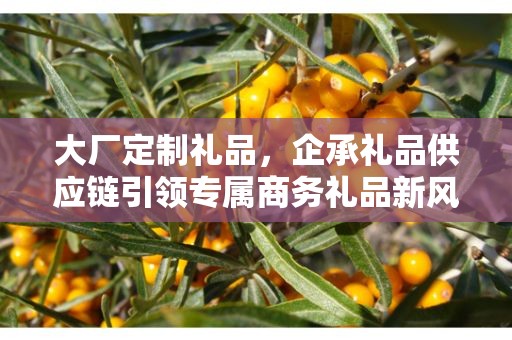 大厂定制礼品，企承礼品供应链引领专属商务礼品新风尚