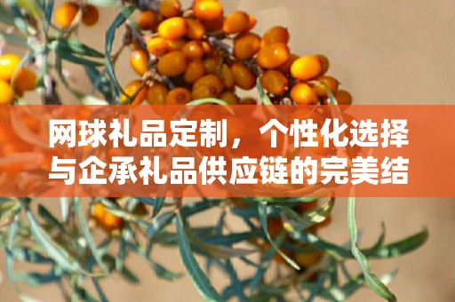网球礼品定制，个性化选择与企承礼品供应链的完美结合