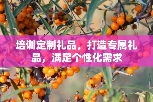 培训定制礼品，打造专属礼品，满足个性化需求