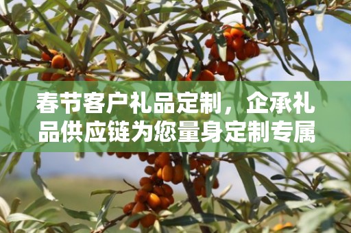 春节客户礼品定制，企承礼品供应链为您量身定制专属礼品