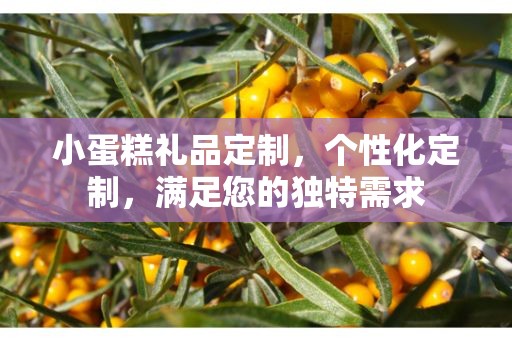 小蛋糕礼品定制，个性化定制，满足您的独特需求
