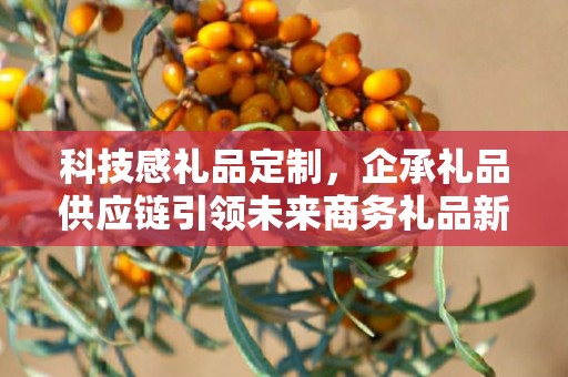 科技感礼品定制，企承礼品供应链引领未来商务礼品新潮流