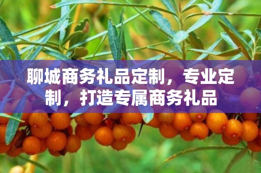 聊城商务礼品定制，专业定制，打造专属商务礼品