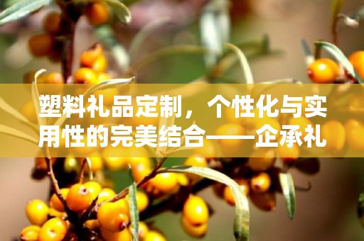 塑料礼品定制，个性化与实用性的完美结合——企承礼品供应链公司引领行业新风尚