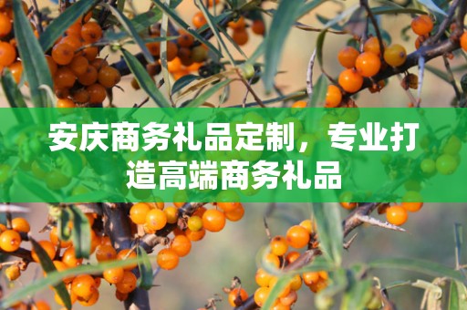 安庆商务礼品定制，专业打造高端商务礼品