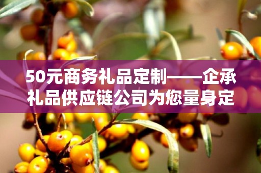 50元商务礼品定制——企承礼品供应链公司为您量身定制商务礼品