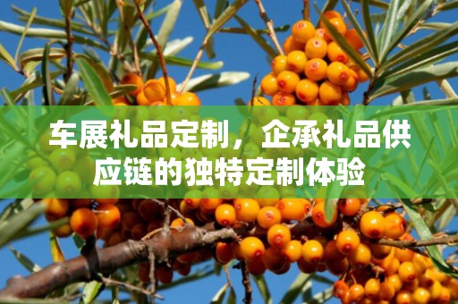 车展礼品定制，企承礼品供应链的独特定制体验