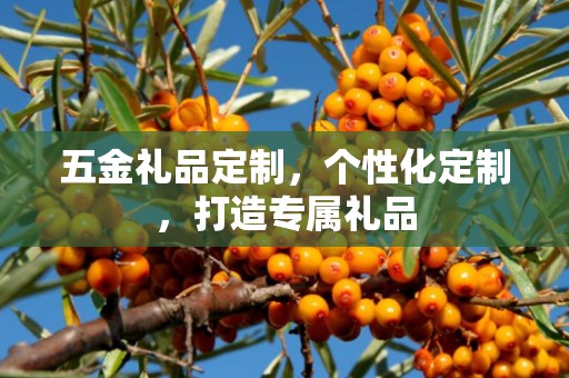 五金礼品定制，个性化定制，打造专属礼品
