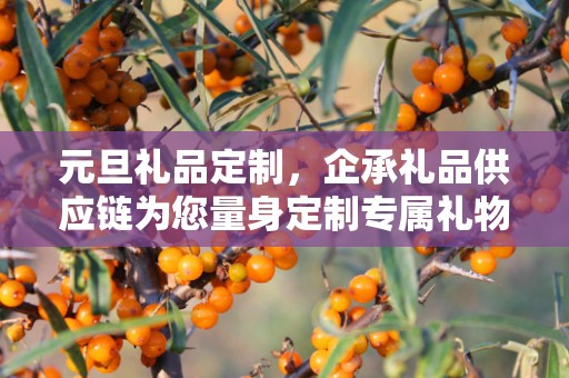 元旦礼品定制，企承礼品供应链为您量身定制专属礼物