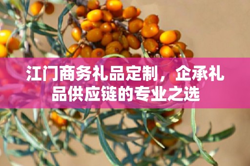 江门商务礼品定制，企承礼品供应链商务礼品定制公司