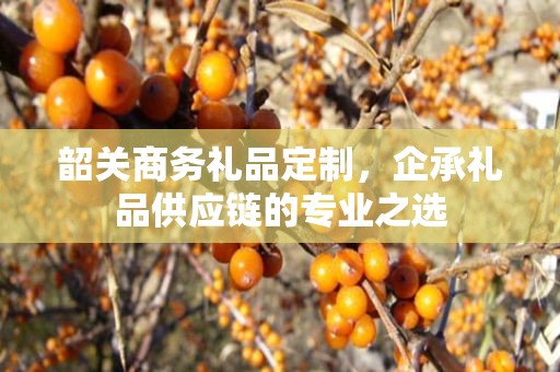 韶关商务礼品定制，企承礼品供应链商务礼品定制公司