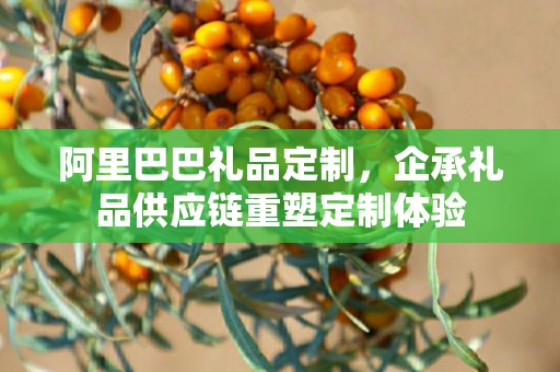 阿里巴巴礼品定制，企承礼品供应链重塑定制体验