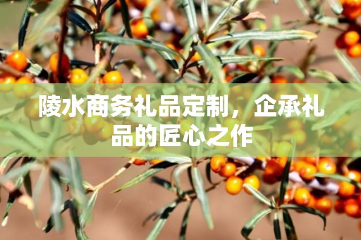 陵水商务礼品定制，企承礼品的匠心之作