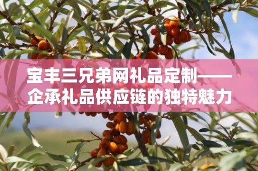 宝丰三兄弟网礼品定制——企承礼品供应链的独特魅力与定制之旅