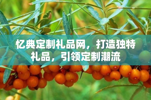 忆典定制礼品网，打造独特礼品，引领定制潮流