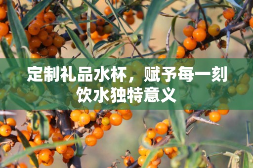 定制礼品水杯，赋予每一刻饮水独特意义