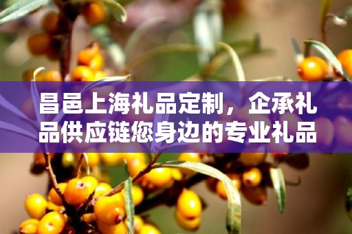 昌邑上海礼品定制，企承礼品供应链您身边的专业礼品定制公司