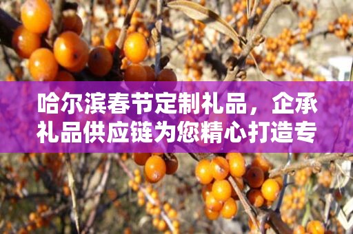 哈尔滨春节定制礼品，企承礼品供应链为您精心打造专属礼品