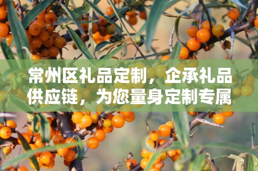 常州区礼品定制，企承礼品供应链，为您量身定制专属礼品