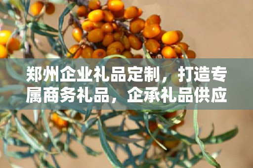 郑州企业礼品定制，打造专属商务礼品，企承礼品供应链为您助力